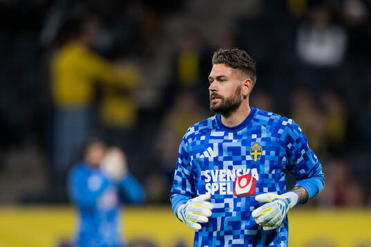 Goalkeeper Kristoffer Nordfeldt of Sweden