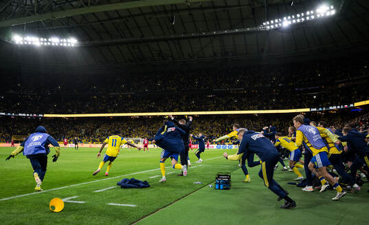 Players and head coach Graham Potter of Sweden celebrate
