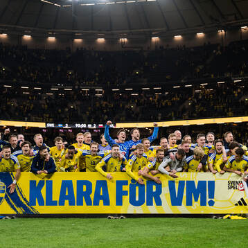 Players of Sweden celebrate