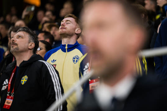 Dejan Kulusevski of Sweden in the stands