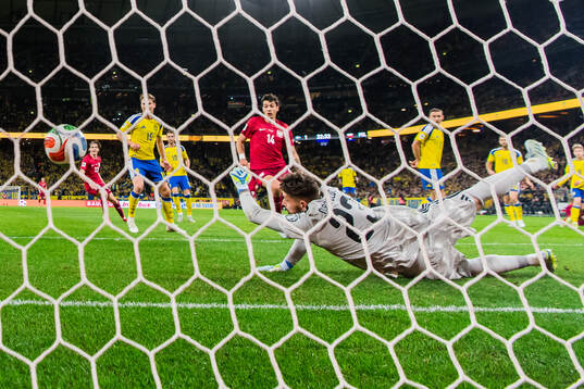 Goalkeeper Kristoffer Nordfeldt of Sweden
