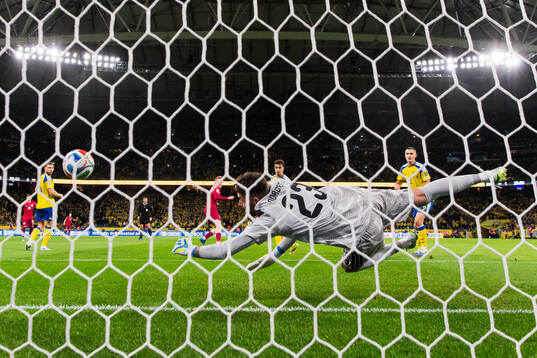 Goalkeeper Kristoffer Nordfeldt of Sweden