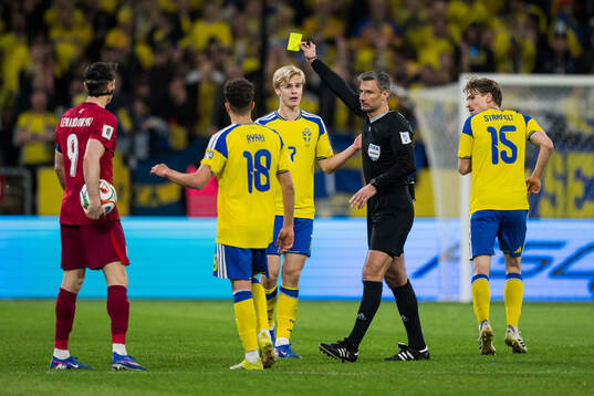 Lucas Bergvall of Sweden receives a warning