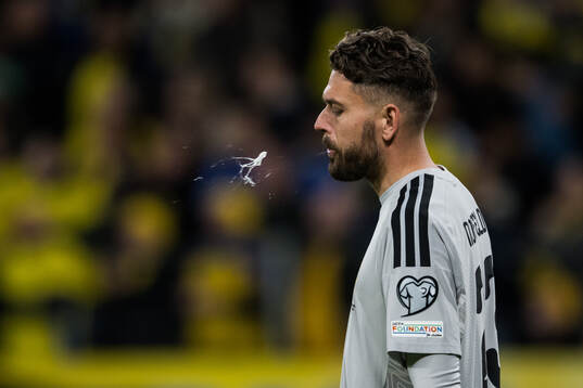 goalkeeper Kristoffer Nordfeldt of Sweden