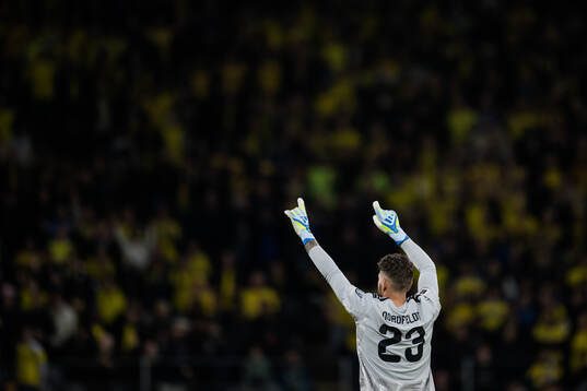 goalkeeper Kristoffer Nordfeldt of Sweden