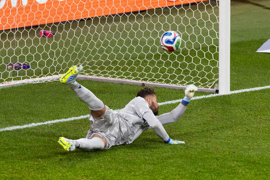 Goalkeeper Kristoffer Nordfeldt of Sweden
