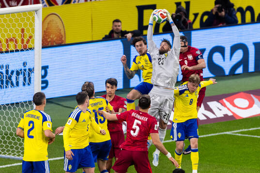 Goalkeeper Kristoffer Nordfeldt of Sweden