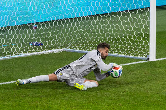Goalkeeper Kristoffer Nordfeldt of Sweden