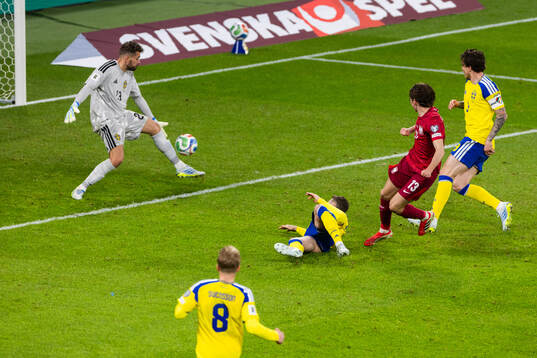Goalkeeper Kristoffer Nordfeldt of Sweden