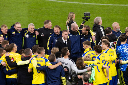 Head coach Graham Potter and players of Sweden