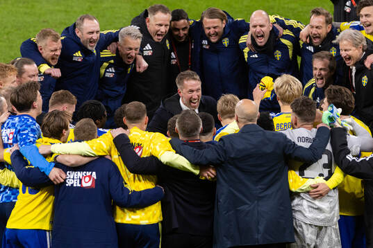 Head coach Graham Potter of Sweden celebrates with players