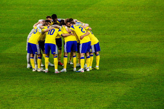 Players of Sweden