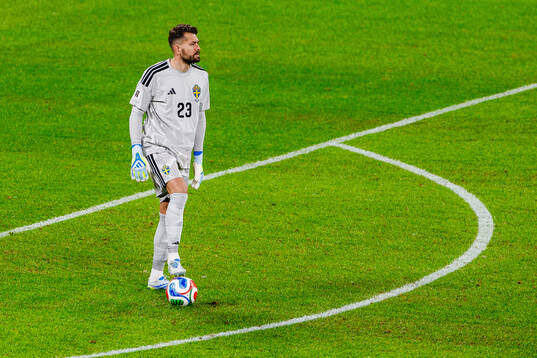 goalkeeper Kristoffer Nordfeldt of Sweden