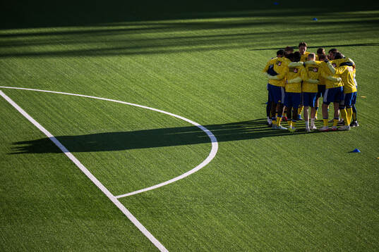 Players of Sweden gather