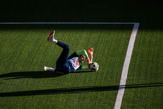 Goalkeeper Elis Bishesari of Sweden