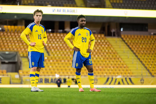 Ludwig Malachowski Thorell and Jardell Kanga of Sweden