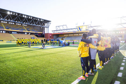 Players of Sweden