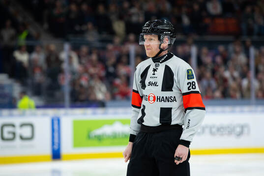 Domare Mikael Holm
