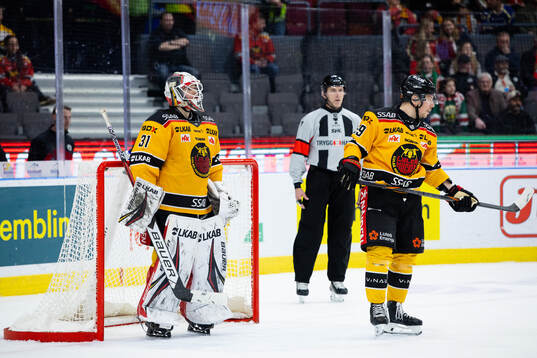 Luleås målvakt Matteus Ward och Erik Gustafsson