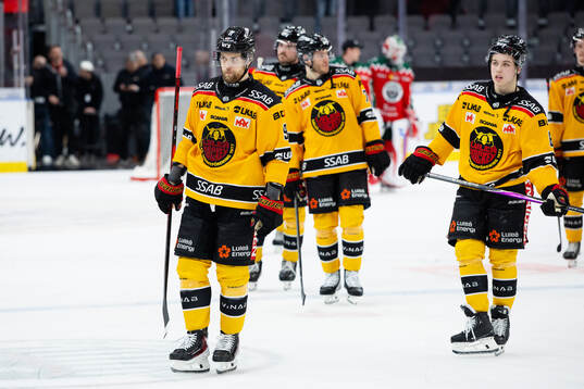 Luleås Brian O'Neill deppar efterunder kvartsfinal fem i