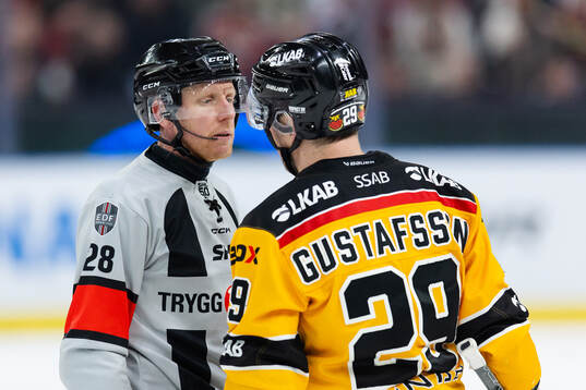 Domare Mikael Holm och Luleås Erik Gustafsson