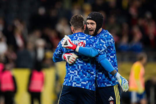 Goalkeeper Kristoffer Nordfeldt and goalkeeper Noel