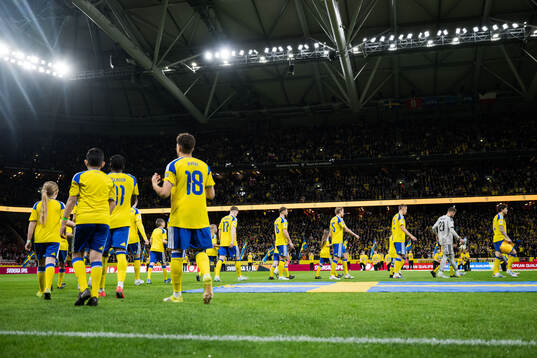 Players of Sweden