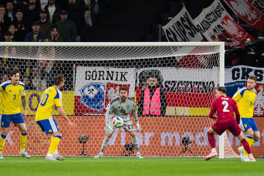 Goalkeeper Kristoffer Nordfeldt of Sweden