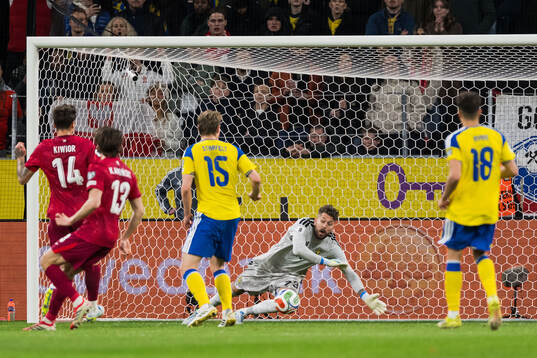 goalkeeper Kristoffer Nordfeldt of Sweden at the 1-1 goal