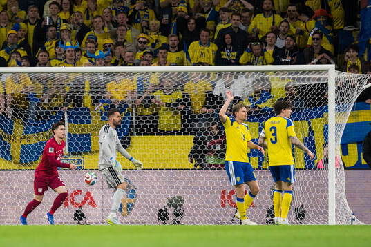 Goalkeeper Kristoffer Nordfeldt of Sweden looks dejected
