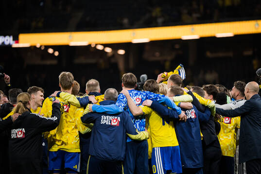 Players of Sweden