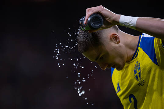 Gustaf Lagerbielke of Sweden