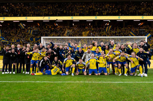 In this handout picture from the Swedish Football