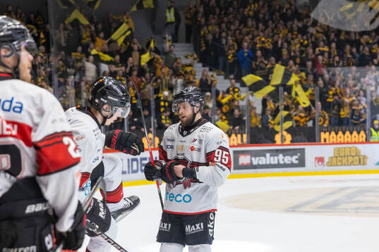 Malmö Redhawks Carl Persson deppar