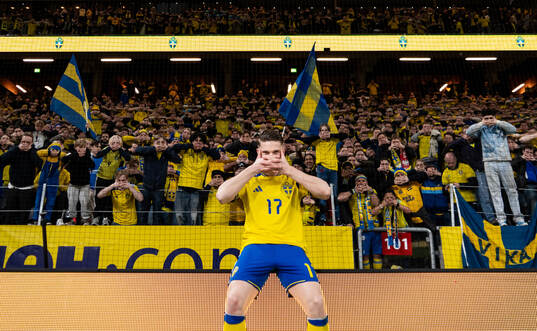 In this handout picture from the Swedish Football