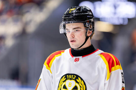 Brynäs Michal Svrcek