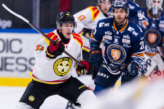 Brynäs Leo Sundqvist