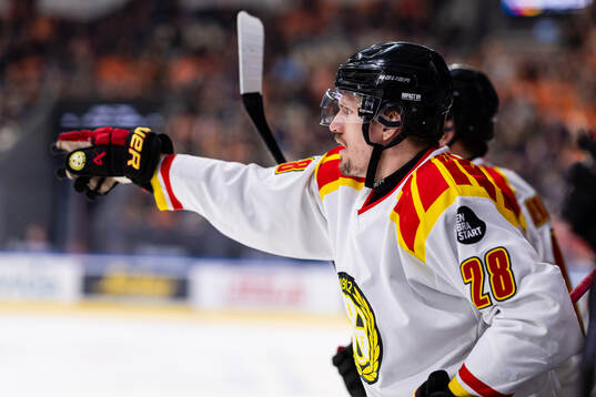 Brynäs Johannes Kinnvall