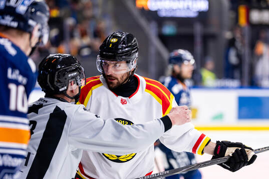 Brynäs Michal Kempny