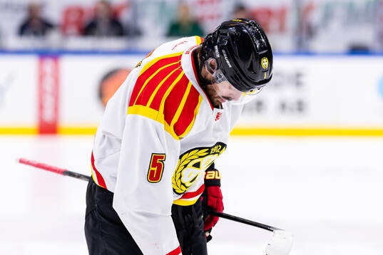 Brynäs Michal Kempny deppar