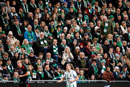 Supporters of Hammarby