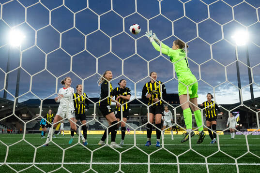 Goalkeeper Fanney Birkisdottir of Häcken