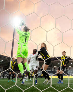 Goalkeeper Fanney Birkisdottir of Häcken