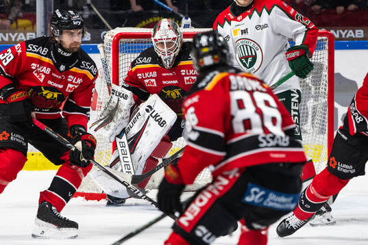 Luleås målvakt Matteus Ward
