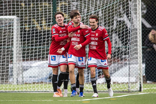 Karlstads Granit Hana jublar med lagkamrater