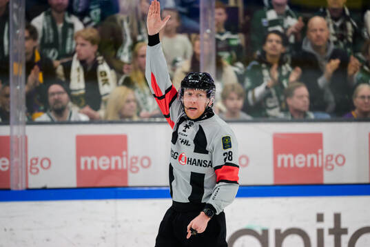 domare Mikael Holm