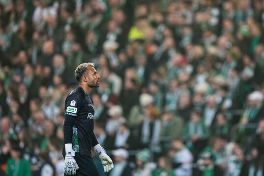Hammarbys målvakt Warner Hahn