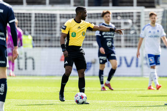 Domare Fredrik Oppong