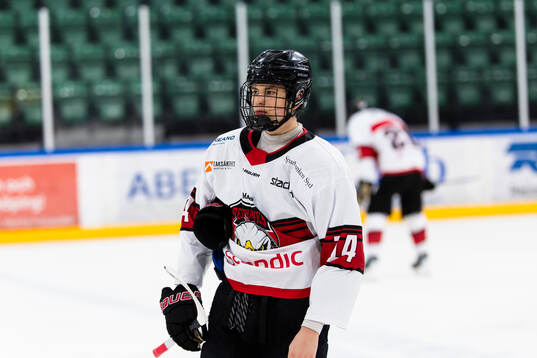 Malmö Redhawks Tobias Lacnak deppar