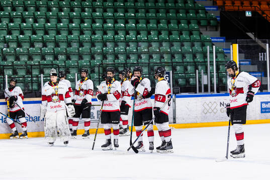 Malmö Redhawks  spelare deppar